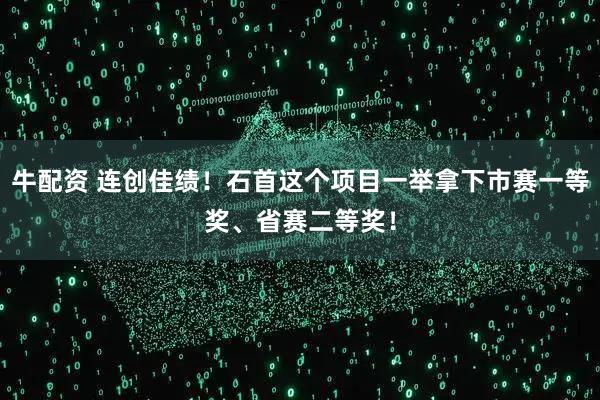 牛配资 连创佳绩！石首这个项目一举拿下市赛一等奖、省赛二等奖！